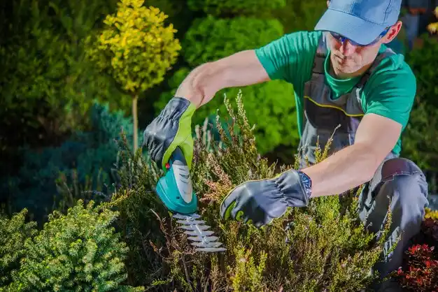 landscaping services Lambertville